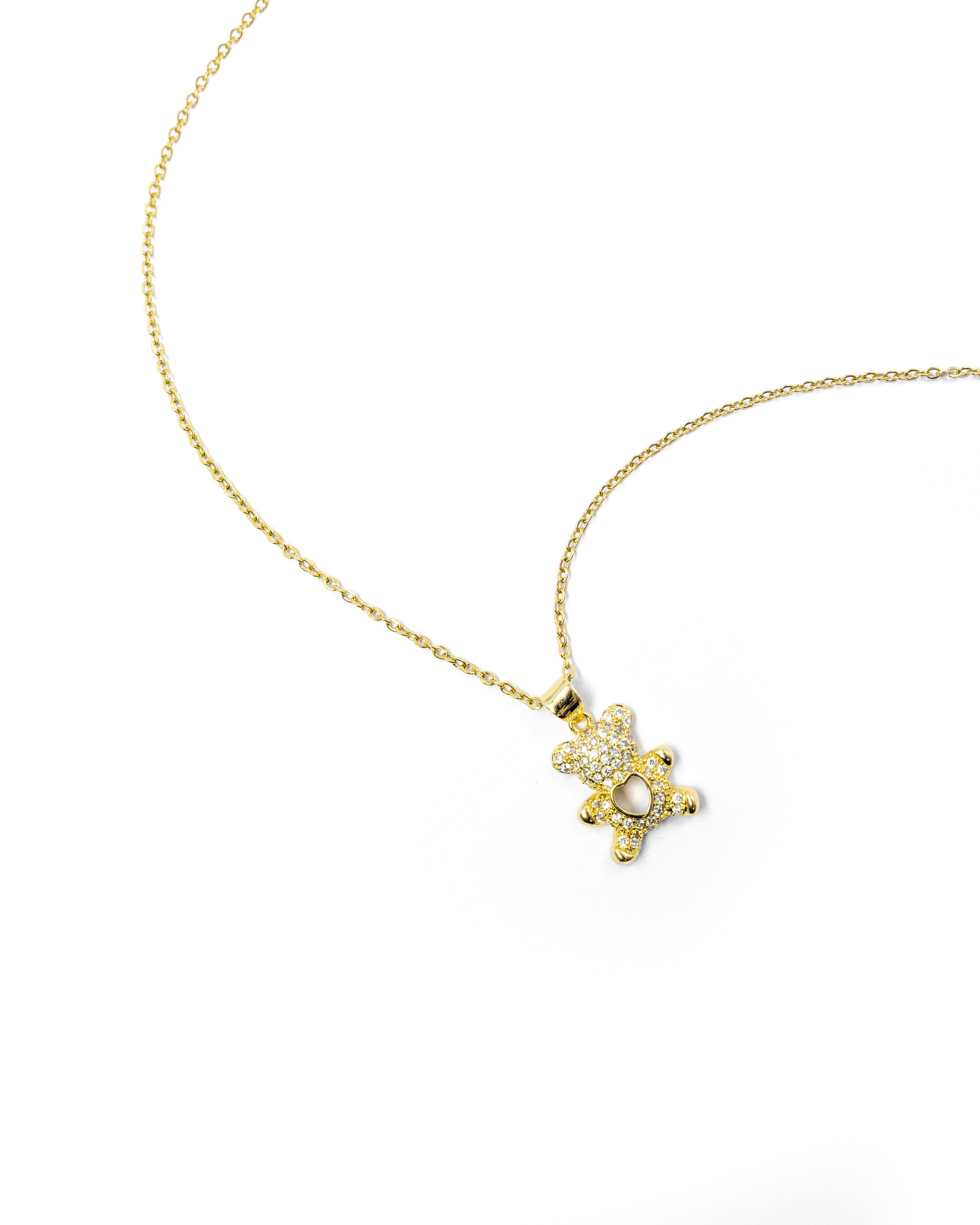 Collar de Oso - M21 Acero Inoxidable