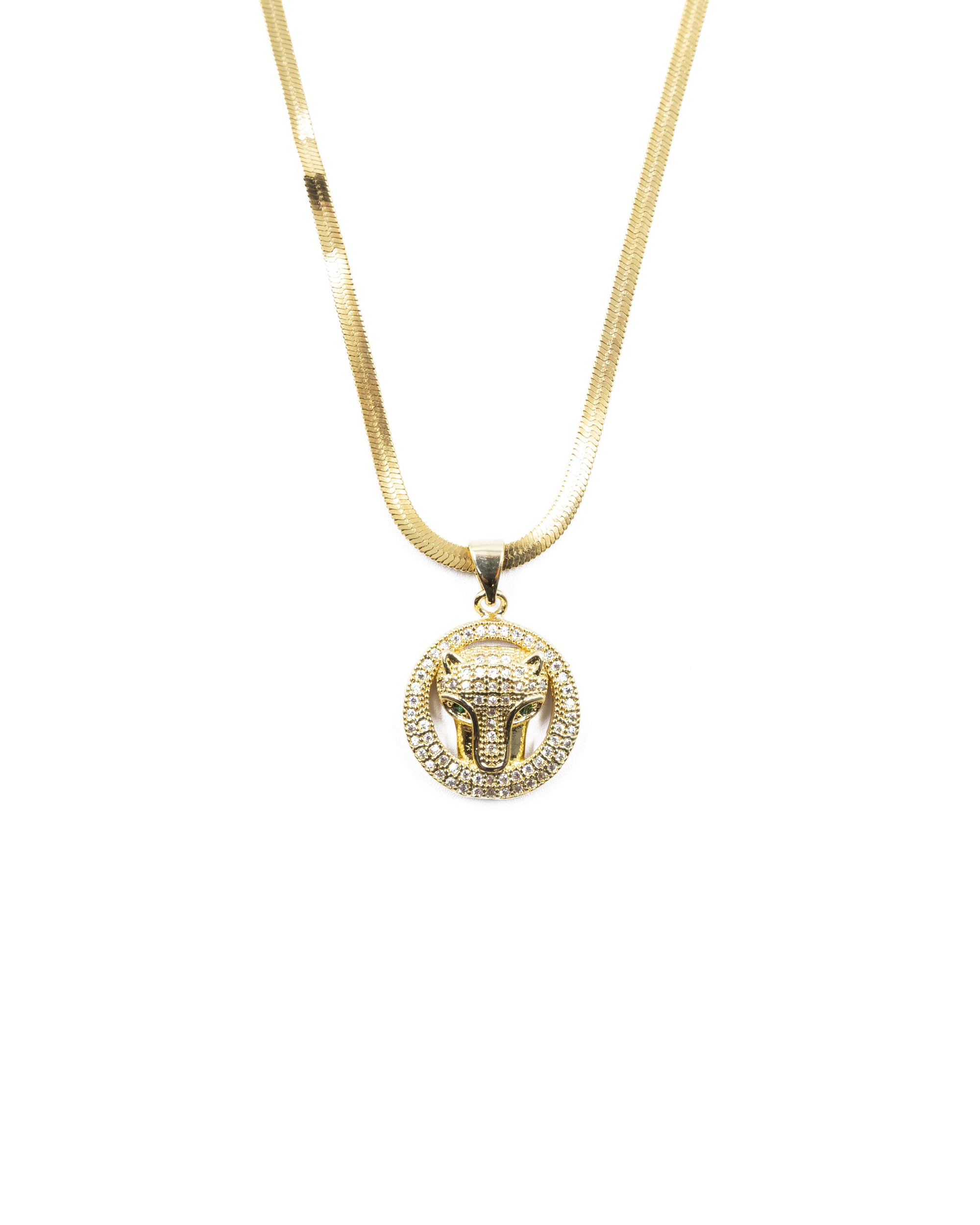 Conjunto dorado de Puma M8 Acero Inoxidable