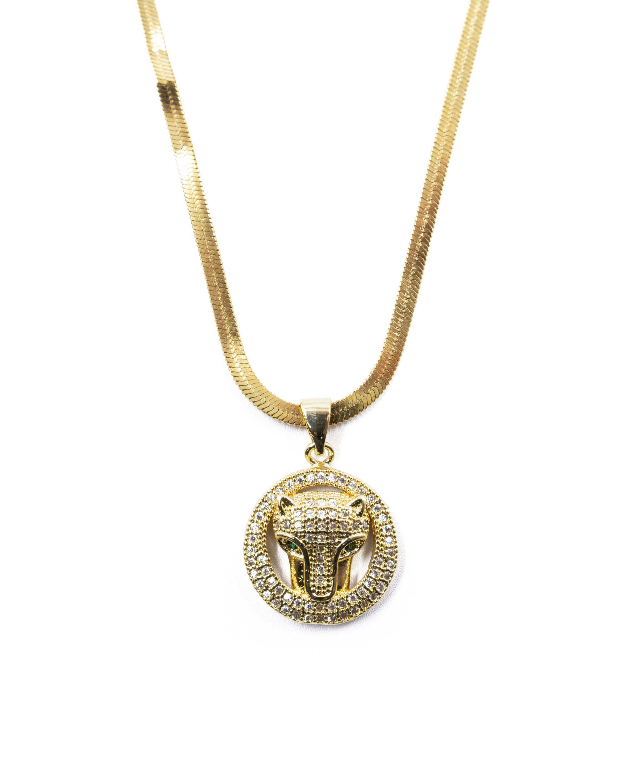 Conjunto dorado de Puma M8 Acero Inoxidable